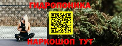 тгк Кинель