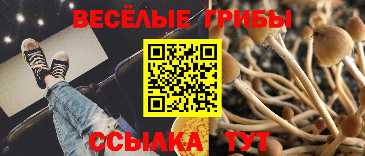 Галлюциногенные грибы мицелий  купить наркотик  Красный Сулин  Вход с VPN 