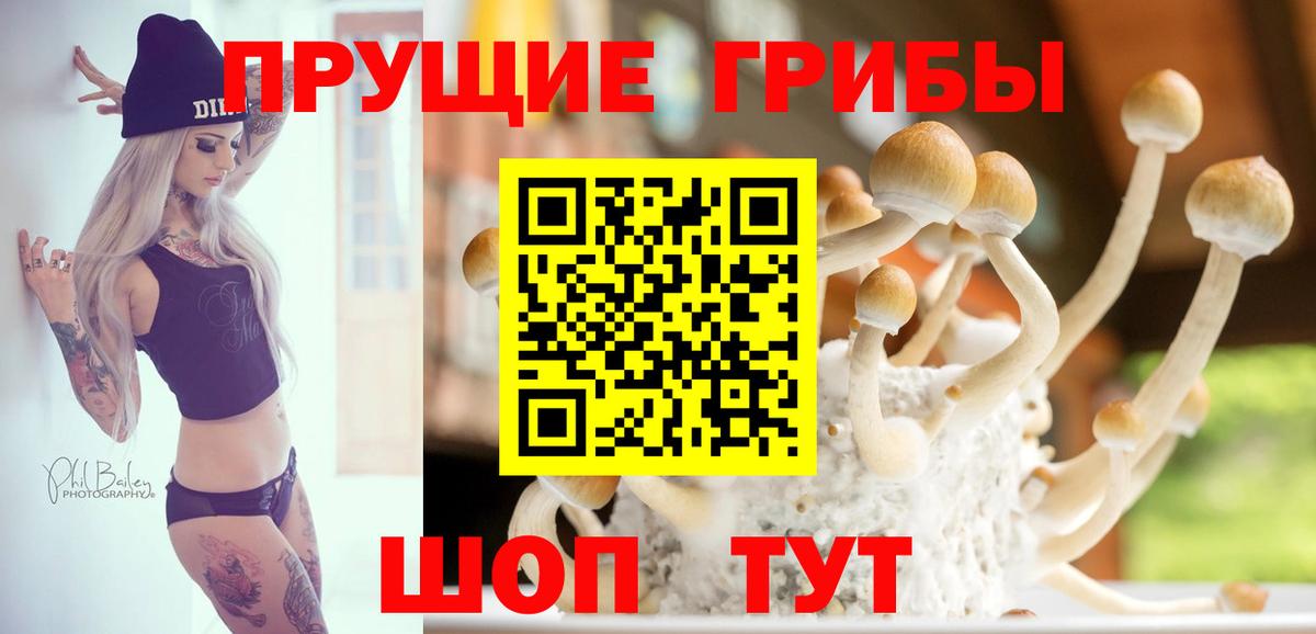 Галлюциногенные грибы мицелий Красный Сулин